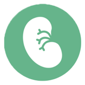 KidneySpace