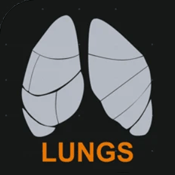 Lungs Respiratory System