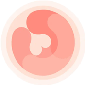 HiMommy - daily pregnancy app